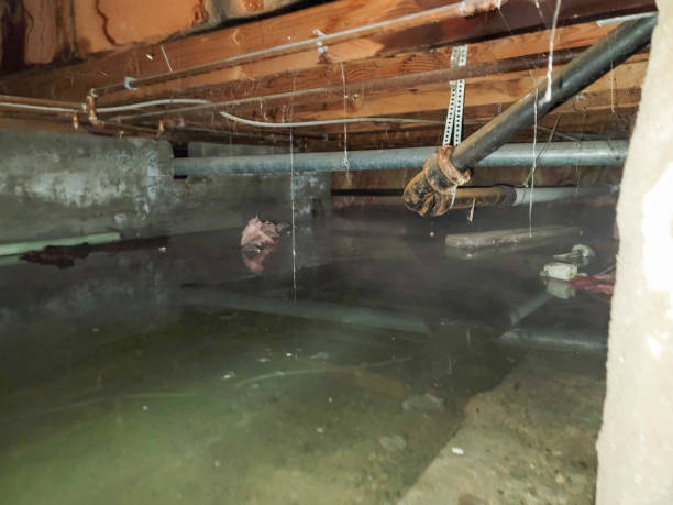 Best Residential water damage restoration  in Port Salerno, FL