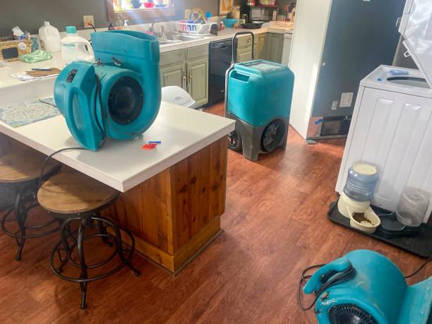 Best Water damage restoration near me  in Port Salerno, FL