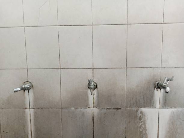 Best 24/7 water damage repair  in Port Salerno, FL